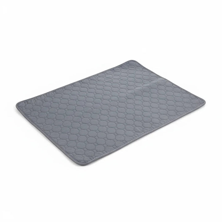 Puppy training pad, machine washable & reusable for pet incontinence, absorbent
