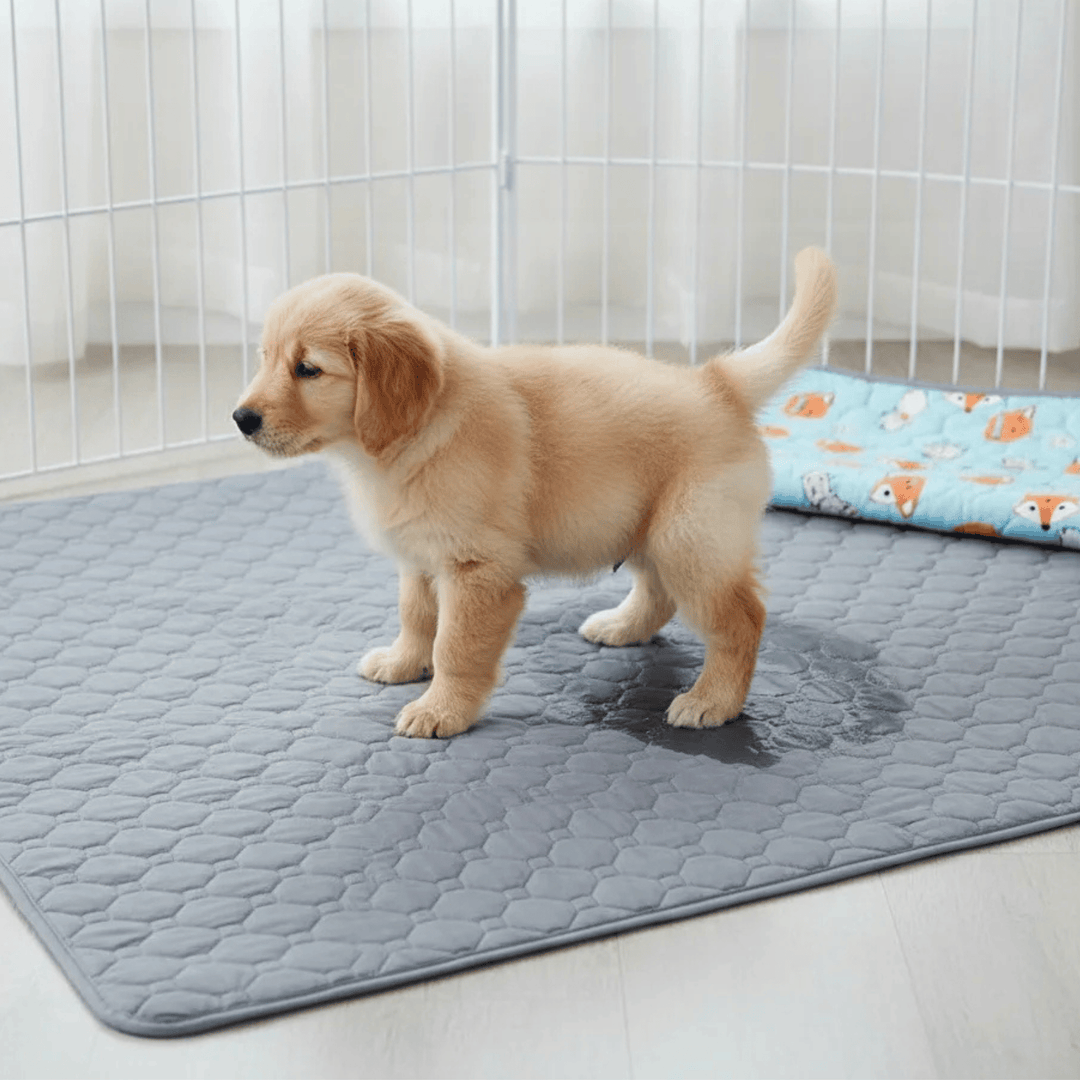 Washable pet training mat for dogs, non-slip waterproof pee pad, kennel liner