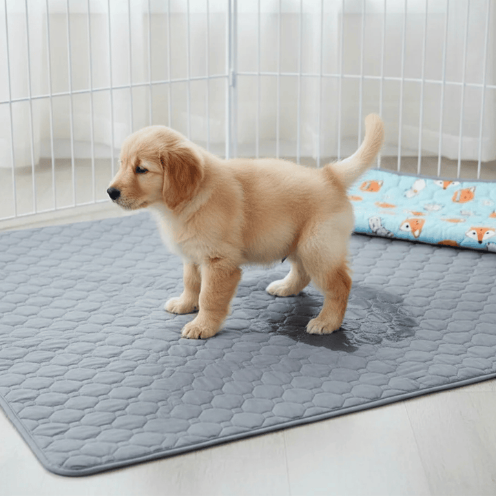 Washable pet training mat for dogs, non-slip waterproof pee pad, kennel liner