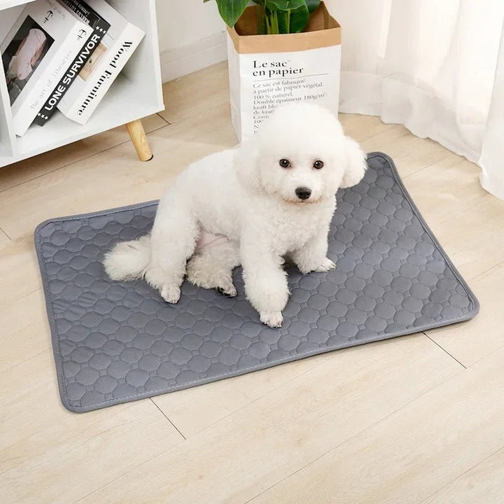 Durable waterproof dog training mat, washable and reusable for kennels & car seats