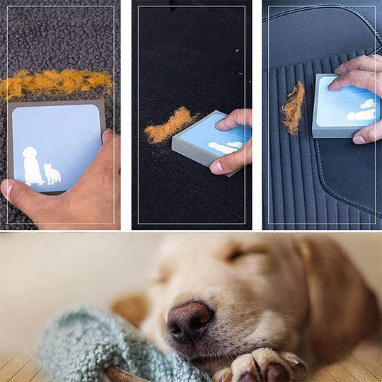 Reusable pet hair remover sponge for effective dog and cat hair removal from furniture