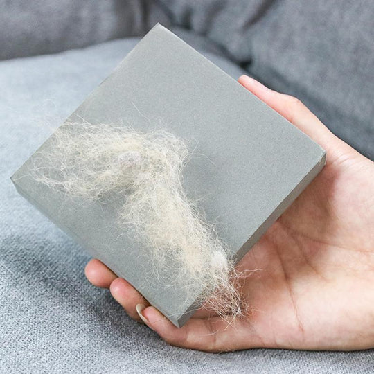 Efficient pet fur remover sponge, perfect for keeping furniture and car upholstery clean