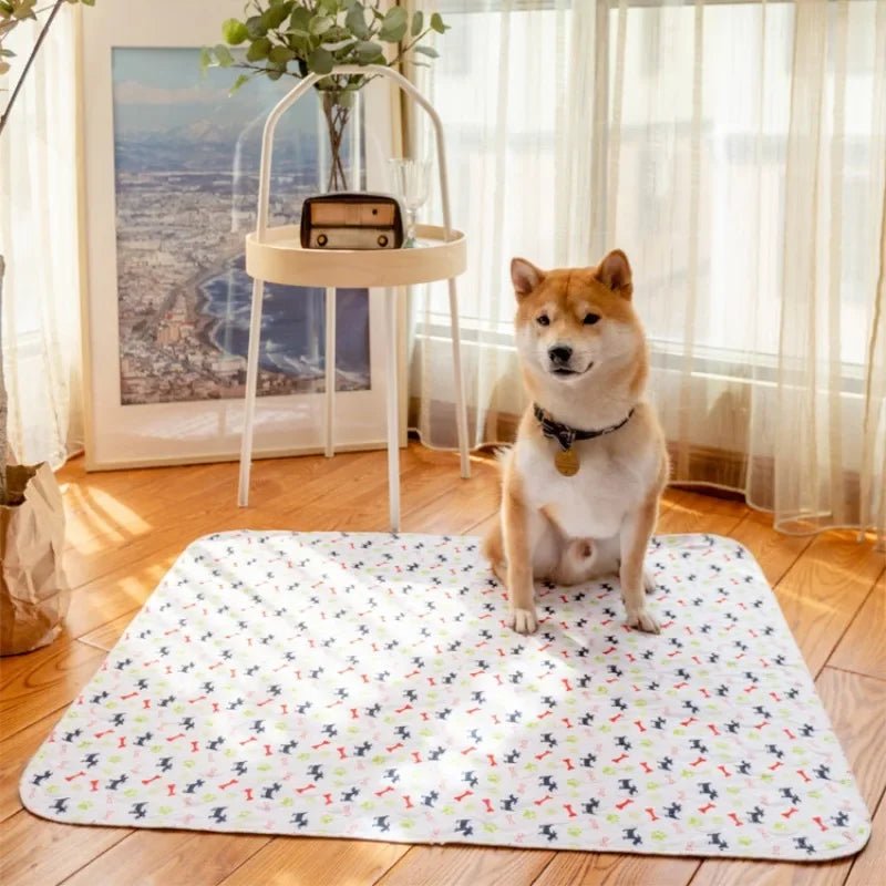 Waterproof pet training pad for dogs, easy to wash, ideal for home use