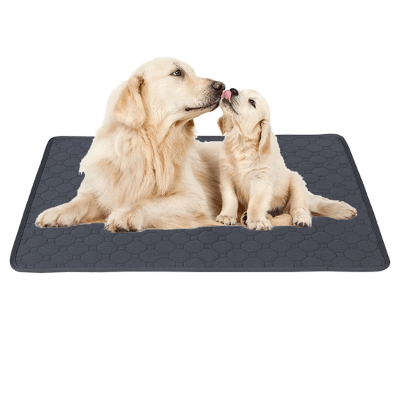 Close-up of washable dog potty pad showing waterproof material, a pet training mat