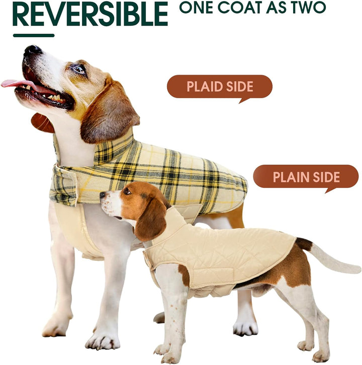 Cozy reversible dog coat, waterproof British check style, essential winter gear.