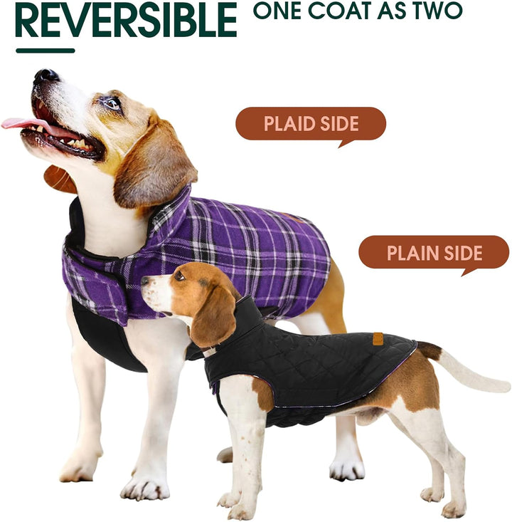 Fashionable reversible British check waterproof winter coat for your dog.
