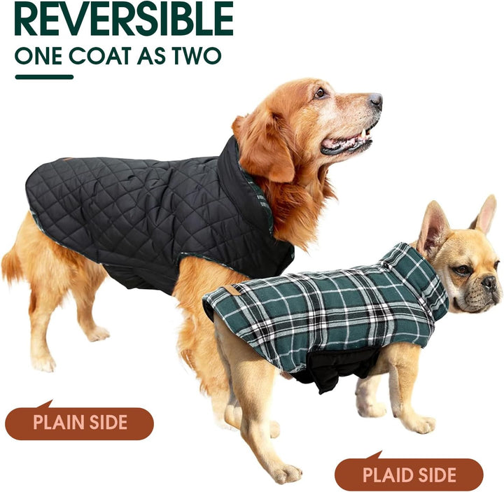 Small dog's reversible British check waterproof winter coat, warm & stylish.