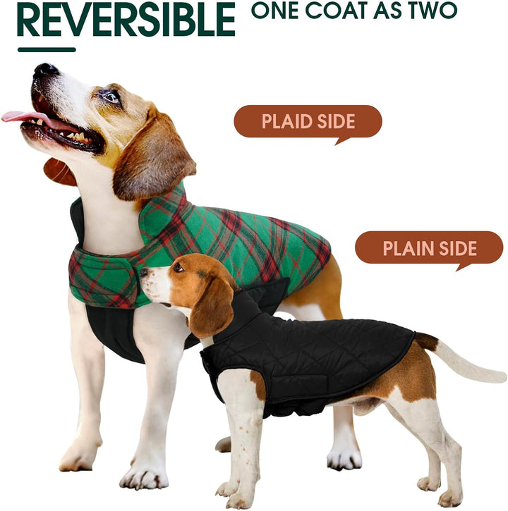 Medium dog's cozy waterproof British check reversible winter jacket.