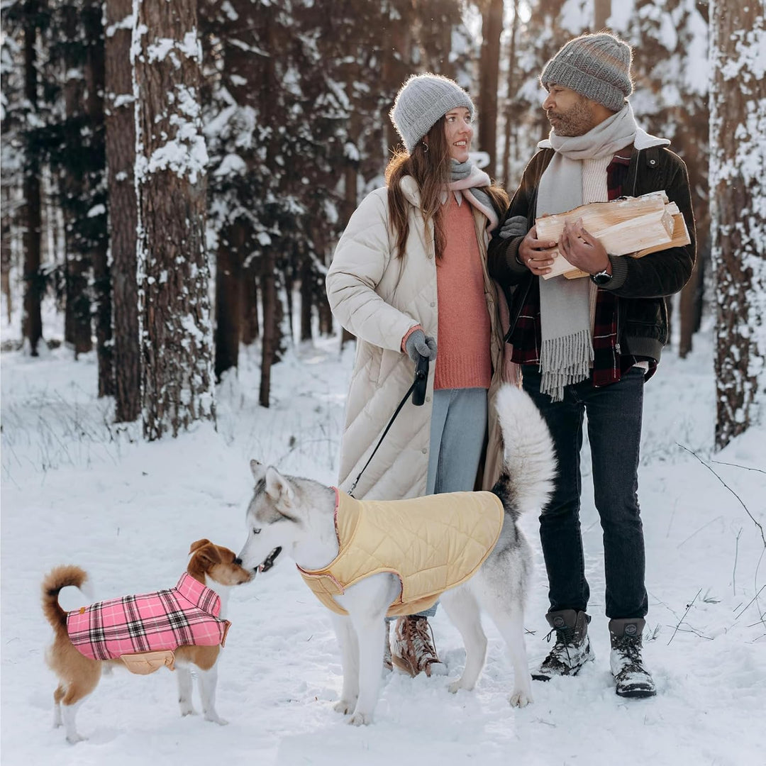 Essential dog supplies: Reversible British check waterproof winter coat for warmth.