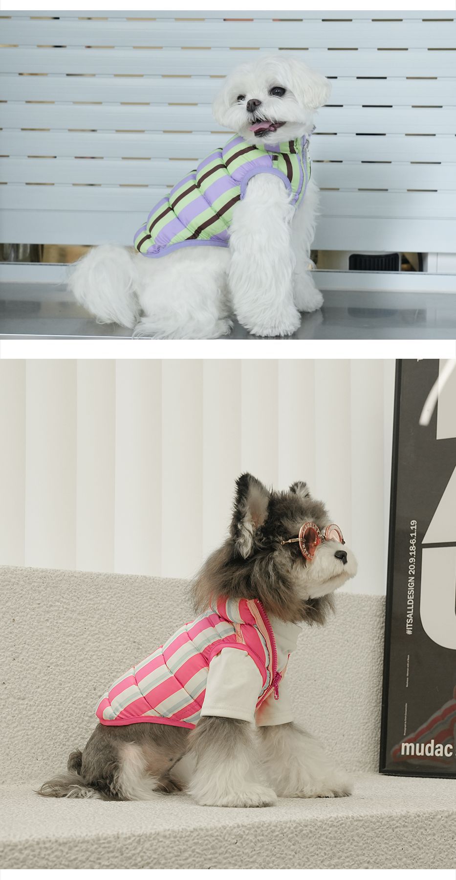 Cat apparel: reversible lightweight jacket with red side out, soft and washable pet coat