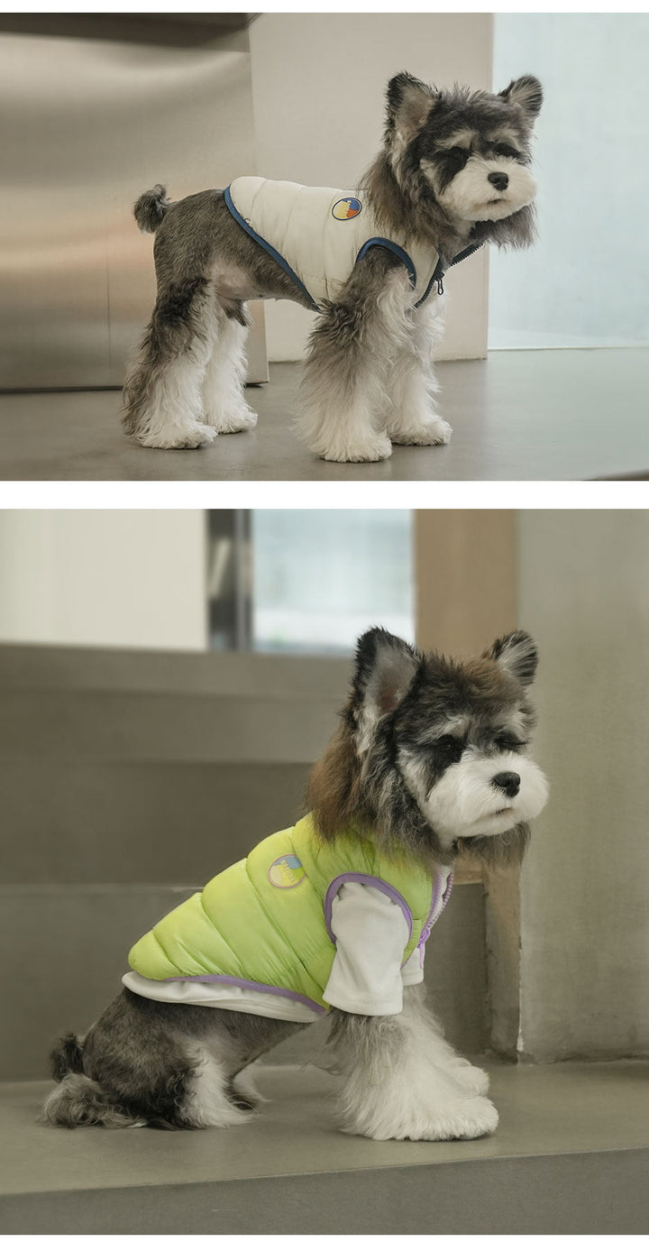 Two dogs wearing reversible lightweight pet jackets, colorful dog coats for winter fashion