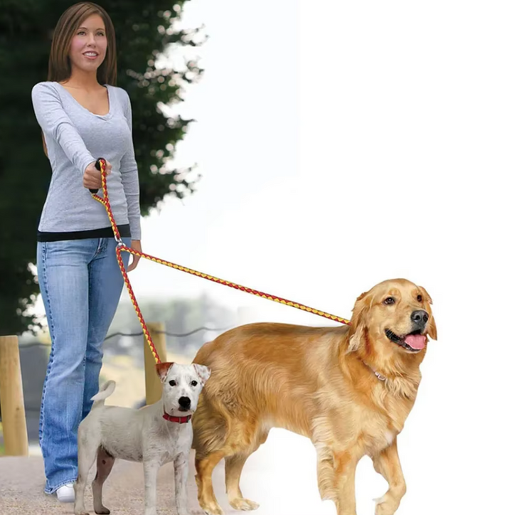 Robust black check pattern dual dog leash, tangle-free for walking two dogs comfortably