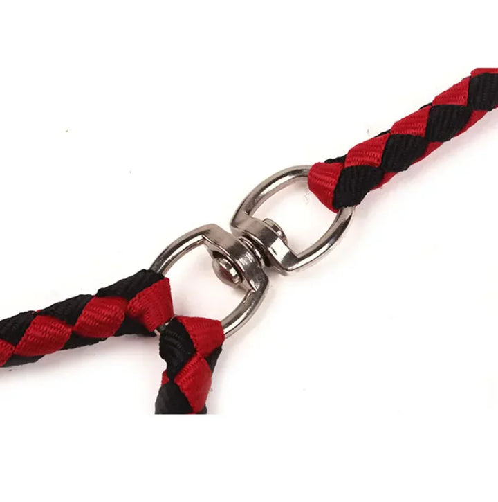 Check pattern dual dog leash, a strong pet supply for walking two dogs without tangles