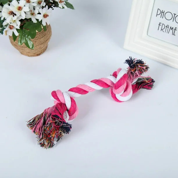 Durable colorful dog rope toy with braided design, ideal for interactive play and puppies.