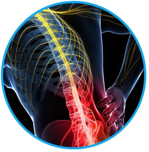 Lumbar & SI Joint Support Belt for effective chronic pain management.