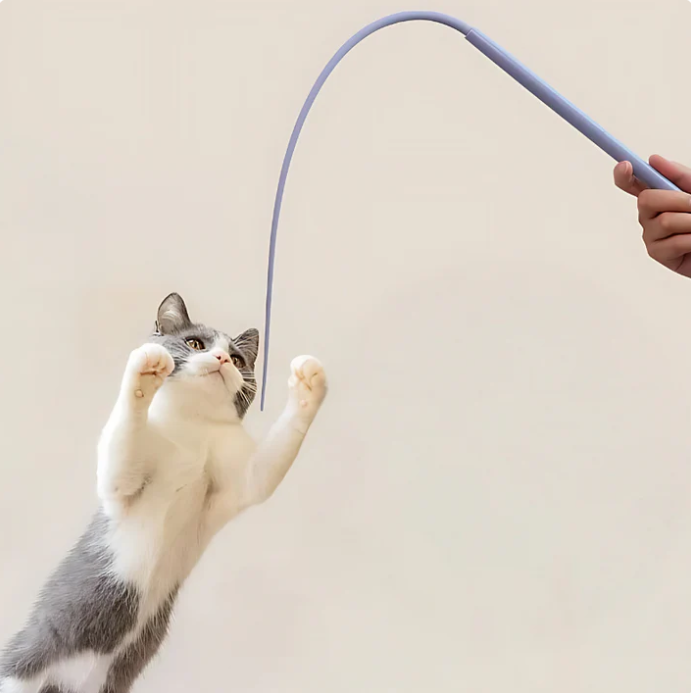 Colorful cat toy set featuring two flexible wands to engage your pet
