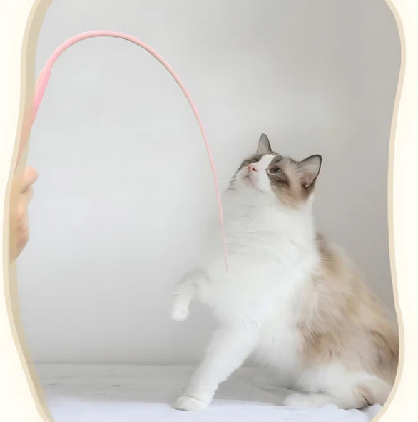 Interactive set of 2 cat play wands, flexible and colorful for endless fun