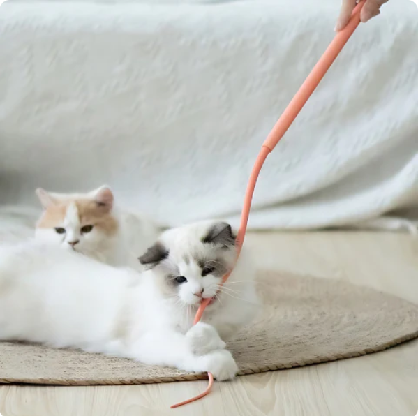 Pet accessory: a set of two flexible, durable cat wands for playful felines