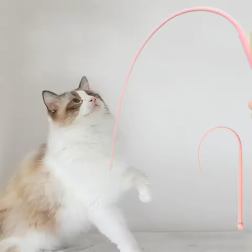 Engaging cat toy set of two flexible wands, promoting active and interactive play
