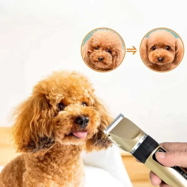 Silent dog fur trimmer set with cordless clippers, comb guides, charging stand on white background.