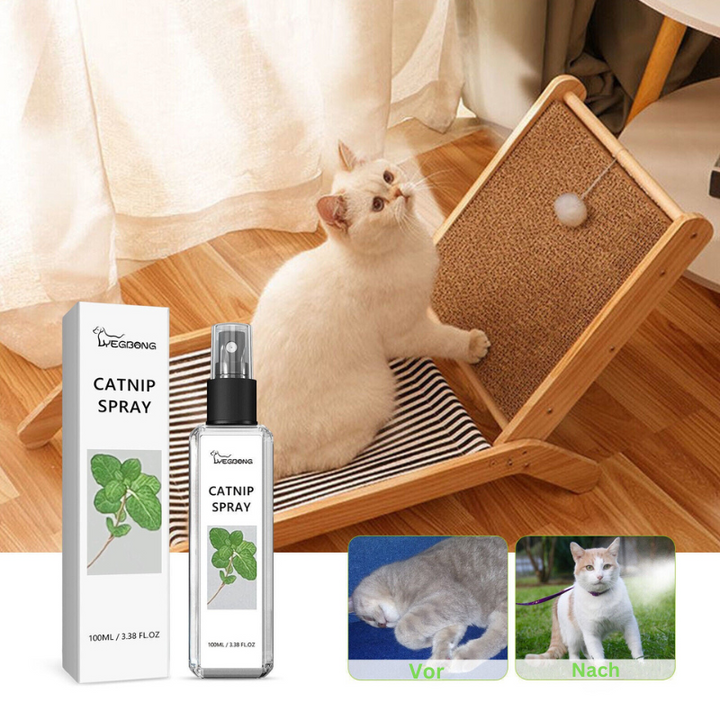 Silvervine Calming Spray for Cats, natural pet relaxation and enrichment, 4oz bottle