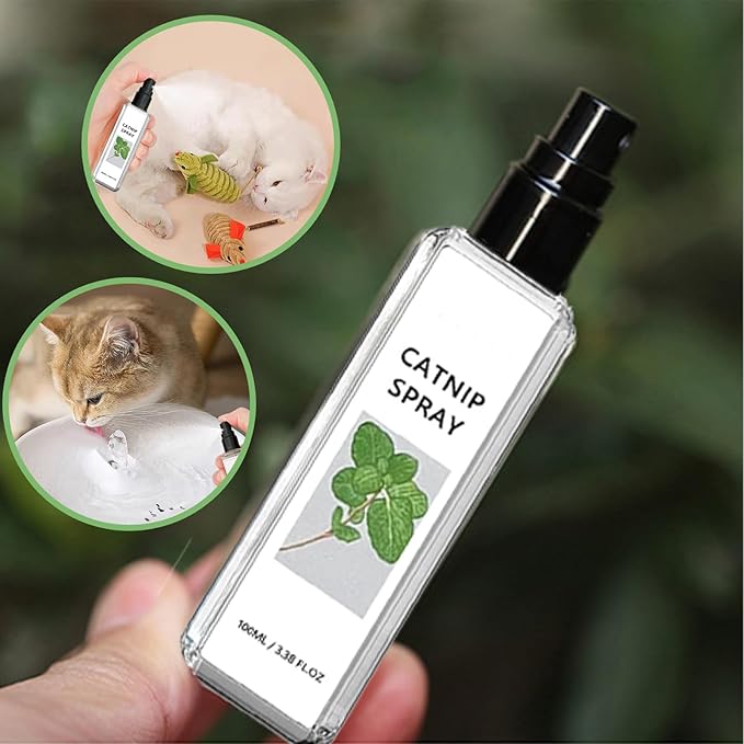 Cat sniffing Natural Silvervine Spray bottle, promoting calm behavior and play