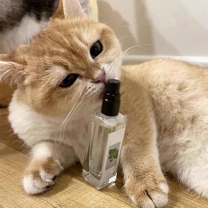 Close-up of Silvervine petspray bottle with catnip-like leaf graphic for feline calming