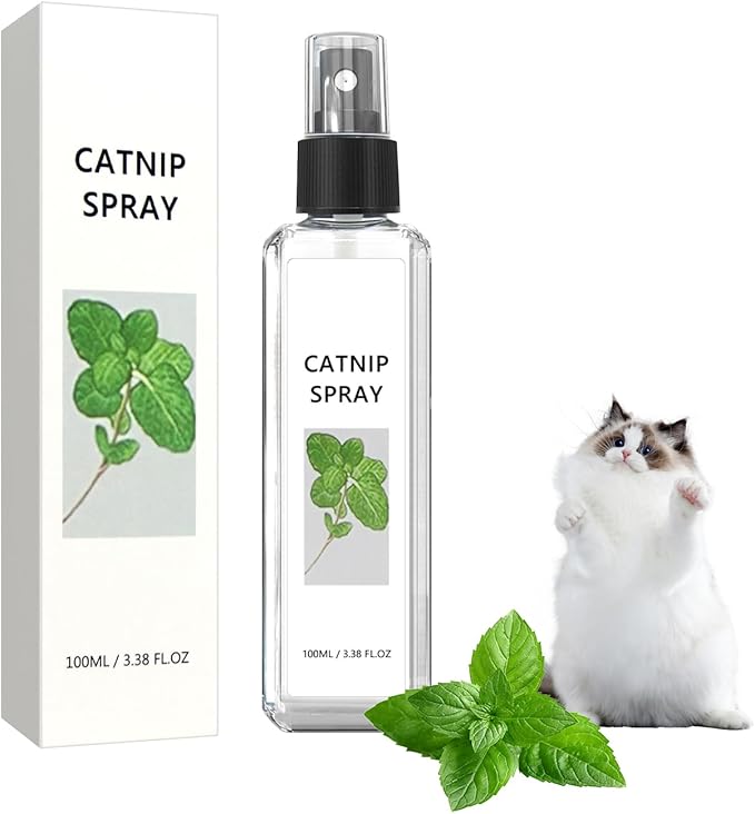 Happy cat playing after using Silvervine Calming and Play Spray, improved pet mood