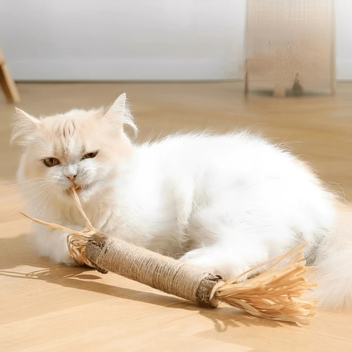 Silvervine dental chew sticks for cats, natural matatabi cat toy for dental health and enrichment.