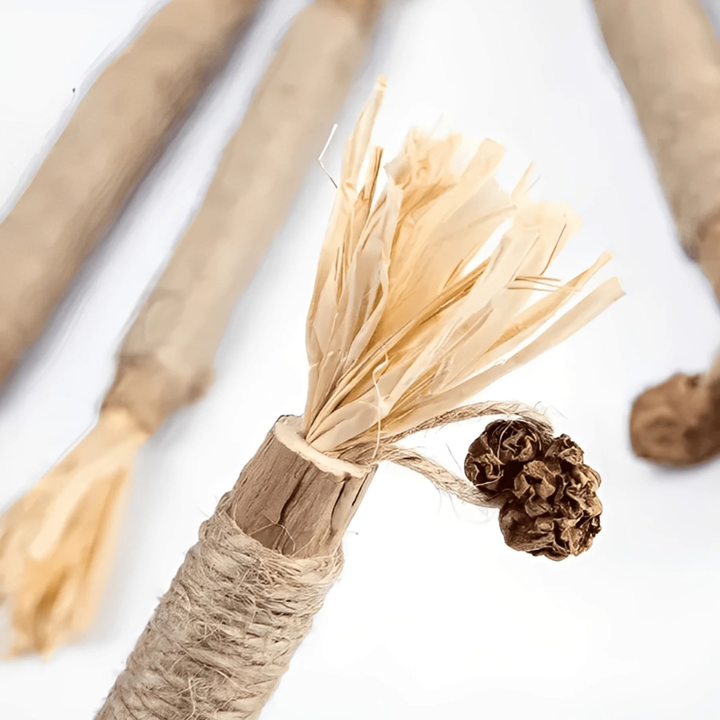 Close-up of natural silvervine cat chew sticks, a healthy pet product for cat dental health and fun.