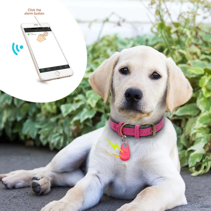 Small black pet GPS tracker attached to a dog collar, showing real-time location. Dog safety device.