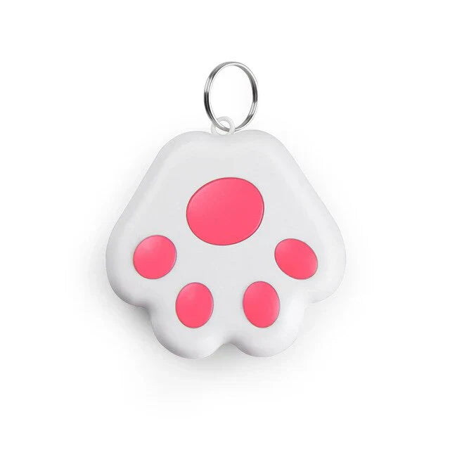 User-friendly app interface showing pet's location and activity history from the GPS tracker. Real-time tracking.