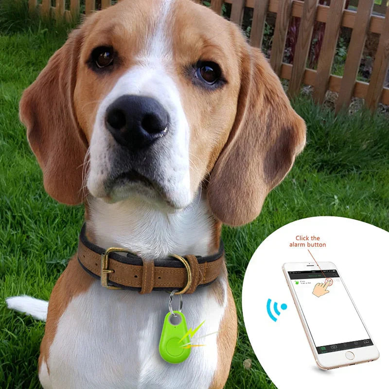Pet GPS tracker with a glowing green light, indicating active real-time tracking for dogs and cats.