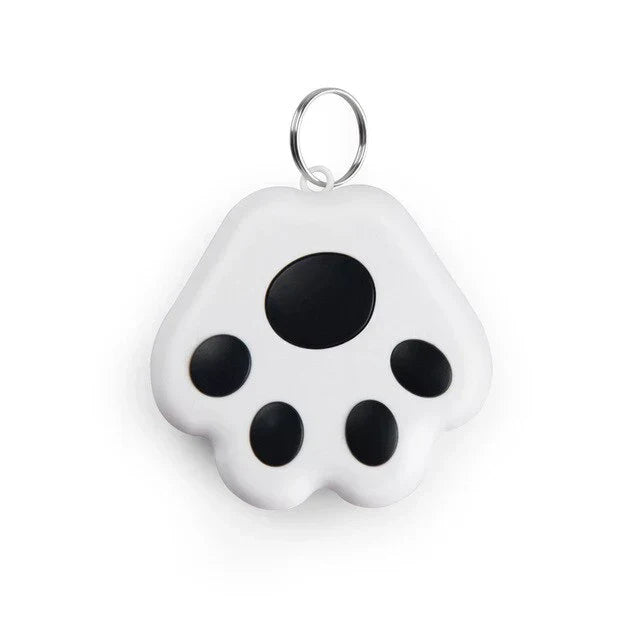 Pet GPS tracker in a retail box with features like real-time tracking and waterproof shown. Anti-lost device.