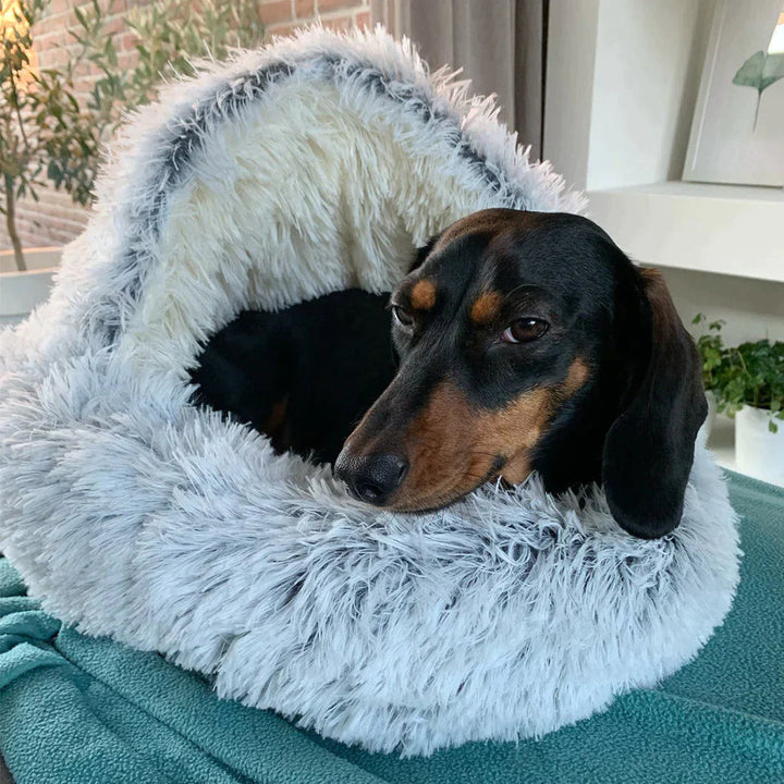 Luxurious faux fur dog bed, half-cave style, designed for small pets seeking a cozy, self-warming space.