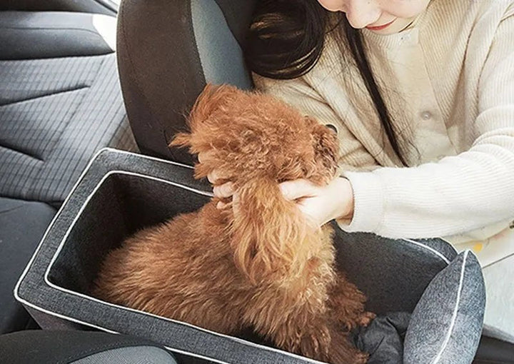 Secure pet travel seat on a car console, perfect for small breeds like Yorkies, Chihuahuas, Pomeranians.