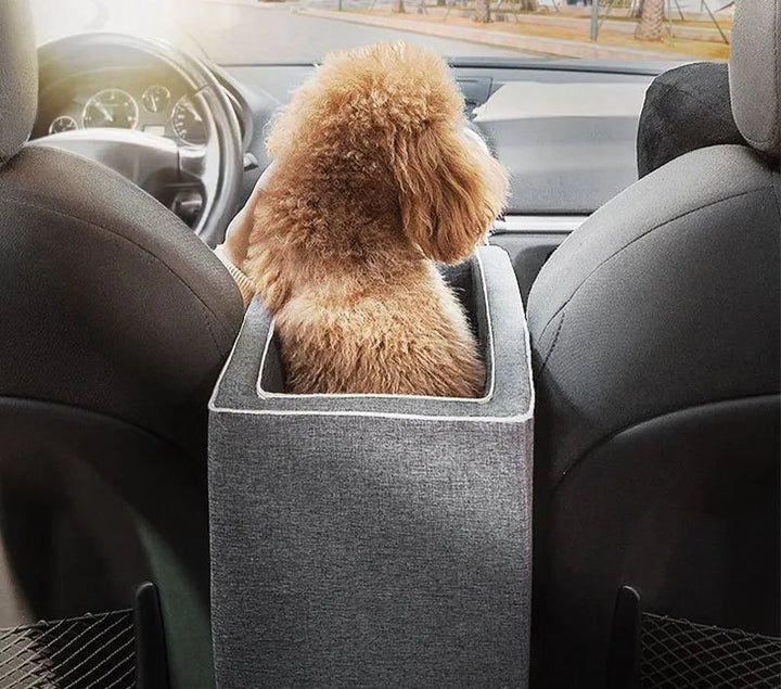 Small dog car carrier in a vehicle, providing a safe and elevated travel spot for pets.