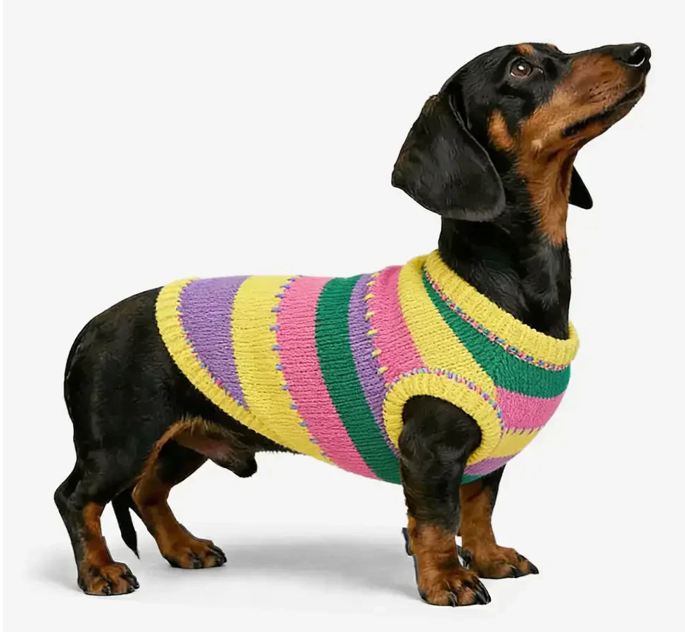 Small dog color-blocked striped sleeveless jumper, knitwear for pets