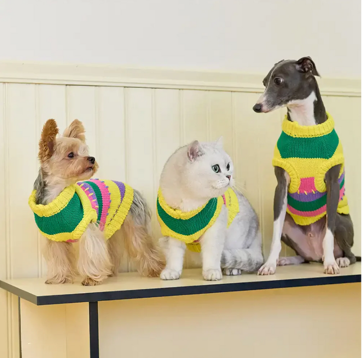 Colorful striped dog jumper, sleeveless pet apparel for small dogs