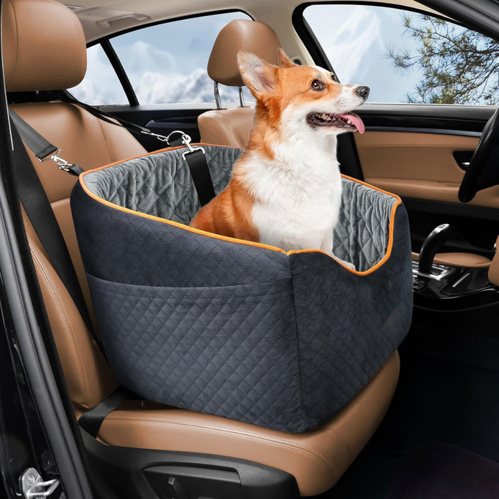 Puppy looking out window from an elevated dog car booster seat, black with a soft inner cushion.