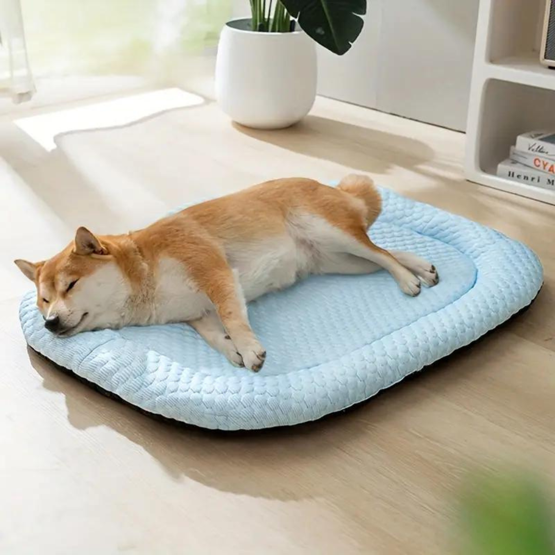 Medium dog cooling bed, memory foam core, ice silk surface, non-slip base for pet comfort