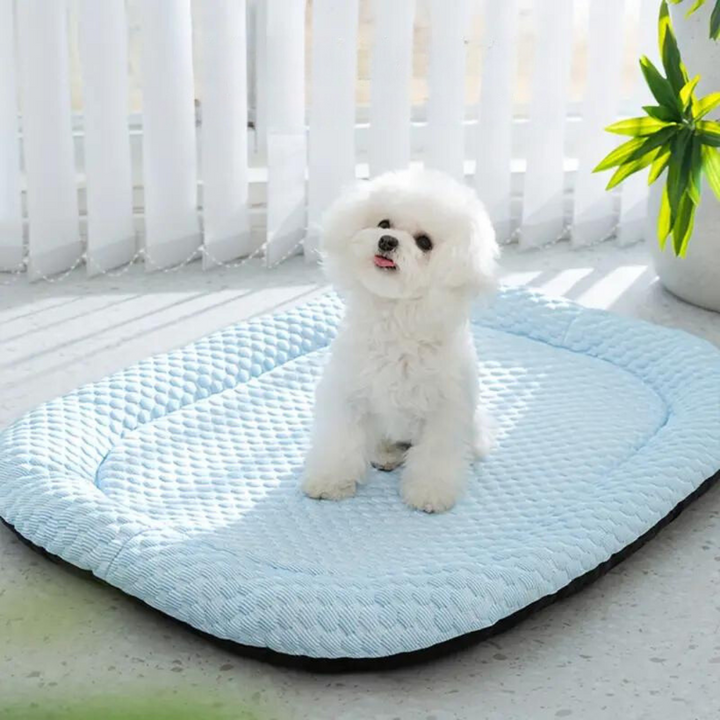 Orthopedic cooling dog bed for small and medium pets, comfortable memory foam support