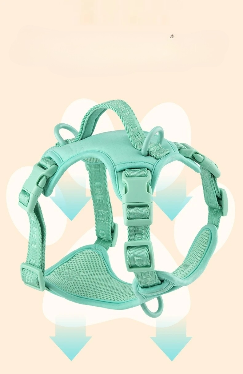 Breathable daisy pattern dog harness for small breeds, soft padded chest, matching leash