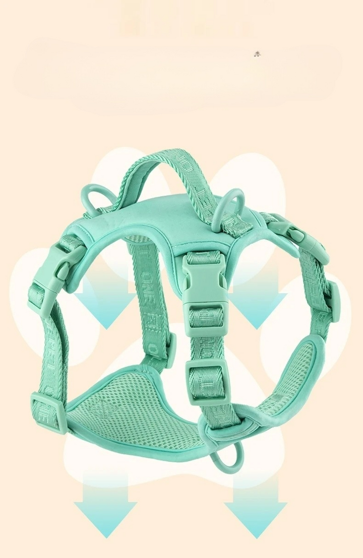 Breathable daisy pattern dog harness for small breeds, soft padded chest, matching leash