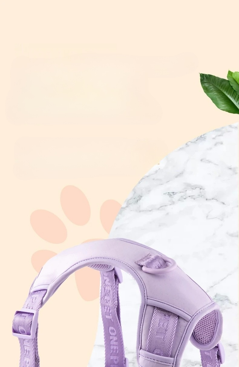 Daisy design small dog harness with quick-release buckles and D-ring for leash attachment