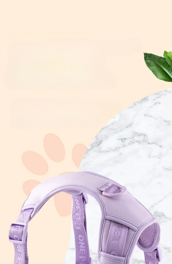 Daisy design small dog harness with quick-release buckles and D-ring for leash attachment