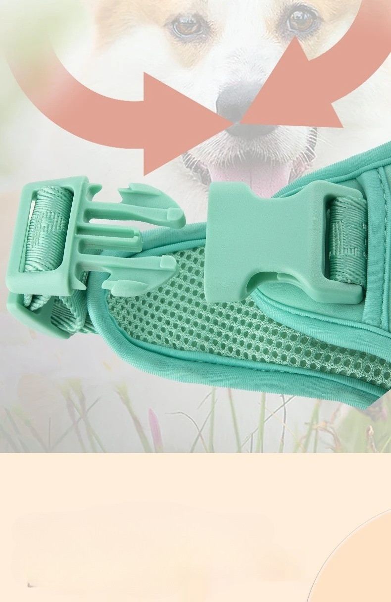 Adjustable pet fashion dog harness in daisy motif, ideal for small dogs, comfortable fit