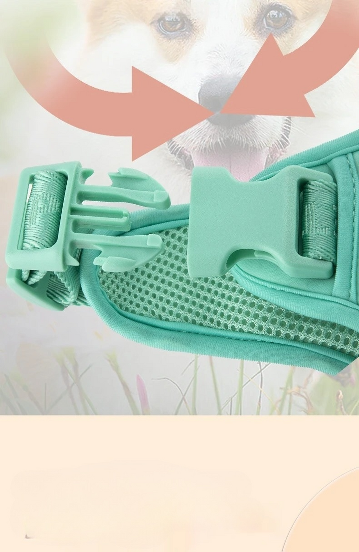 Adjustable pet fashion dog harness in daisy motif, ideal for small dogs, comfortable fit