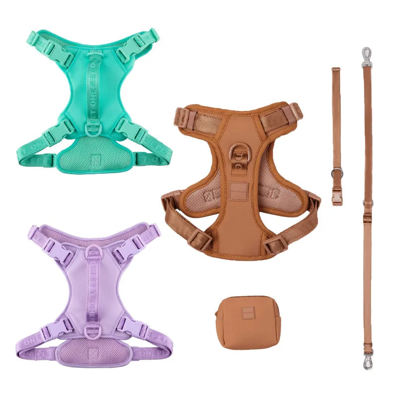Close-up of daisy design on breathable fabric dog harness for small pets, included leash