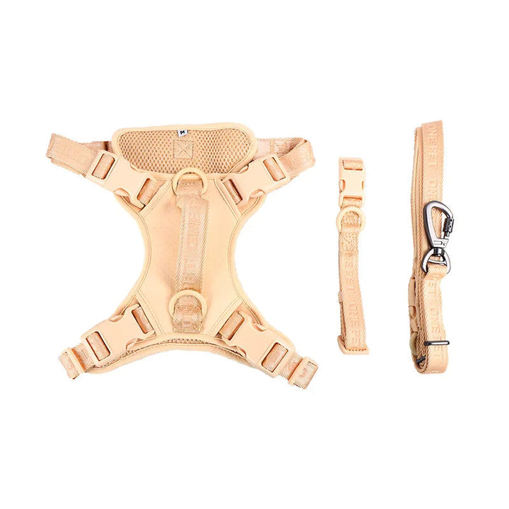 Padded dog harness for small breeds with cute daisy design, ensures comfort and security